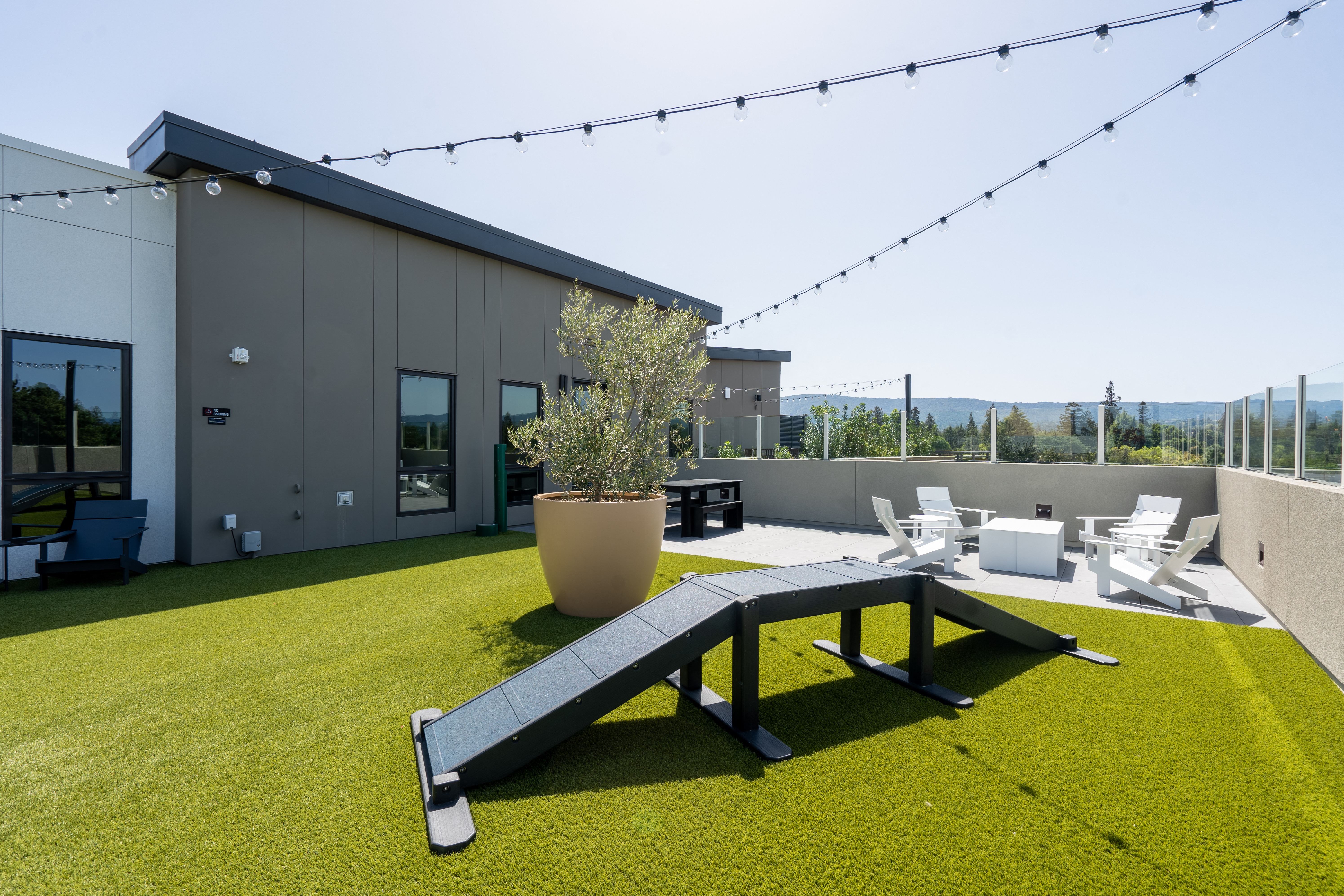 MV Apartments photo 5